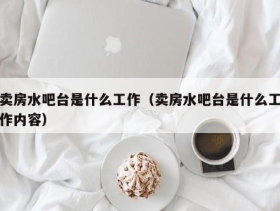 乌鲁木齐卖房水吧台是什么工作（卖房水吧台是什么工作内容）