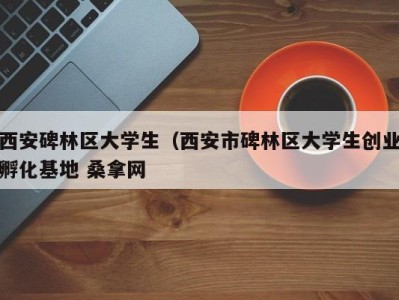 乌鲁木齐西安碑林区大学生（西安市碑林区大学生创业孵化基地 桑拿网