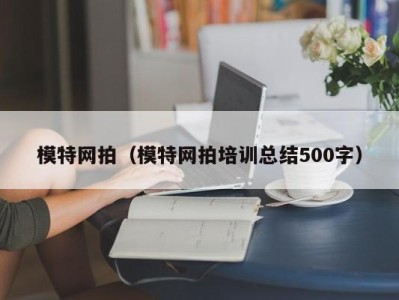 乌鲁木齐模特网拍（模特网拍培训总结500字）