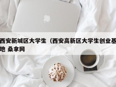 乌鲁木齐西安新城区大学生（西安高新区大学生创业基地 桑拿网